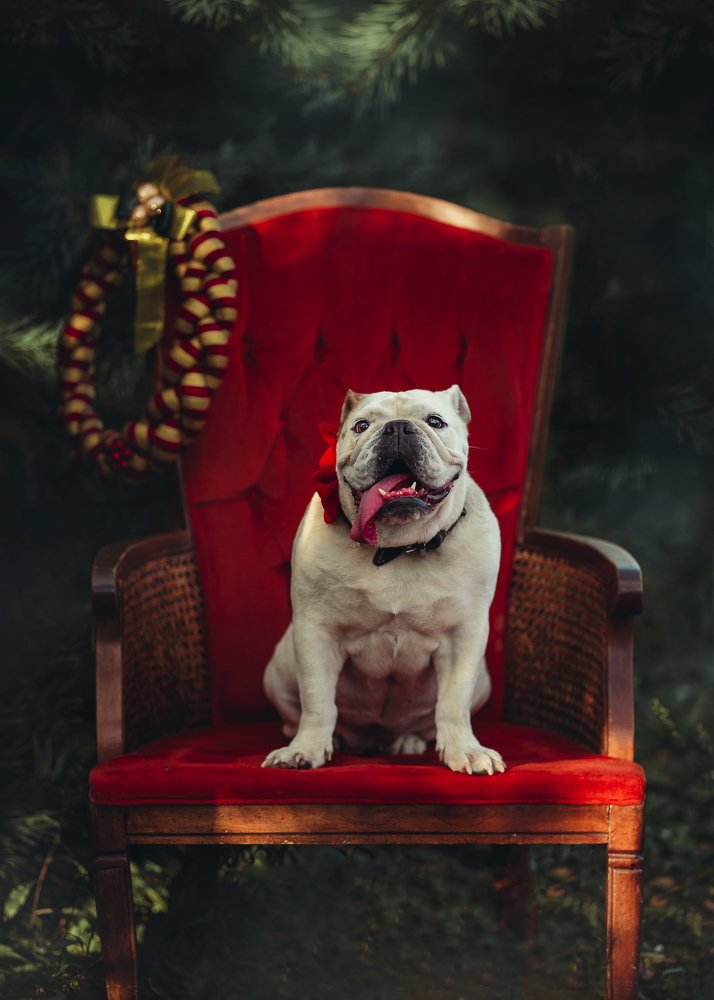 Photograph by Monika Steć