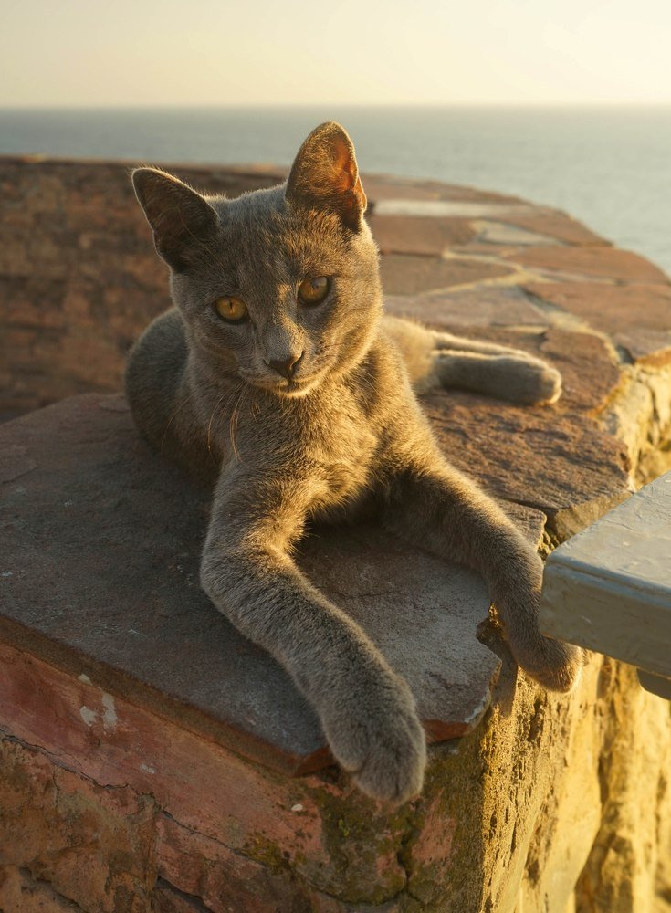 Photograph by Анастасия