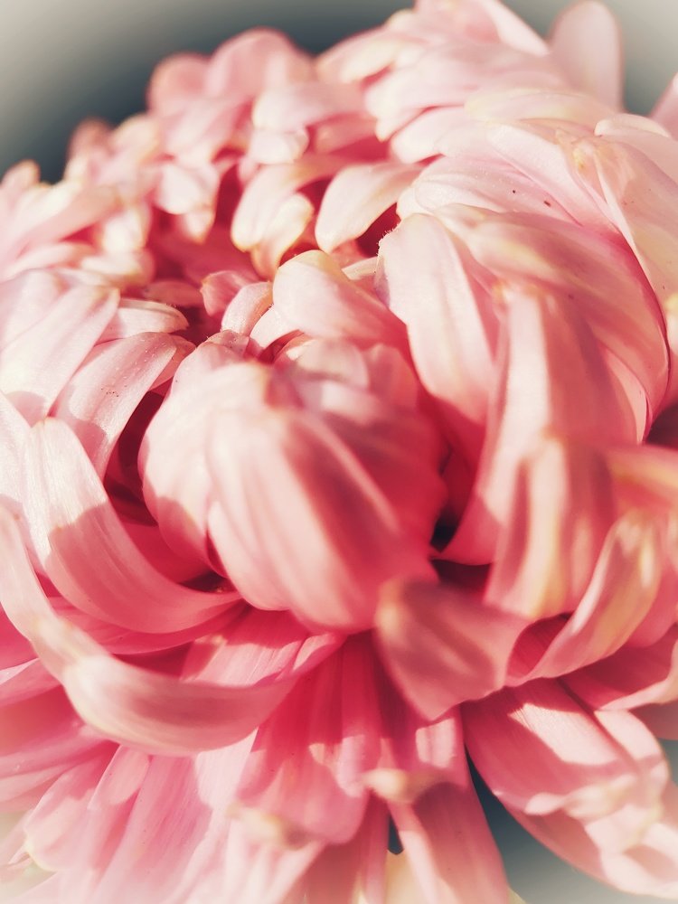 Фотография автора Юлия Таран