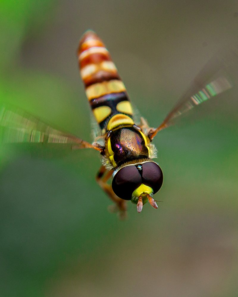 Photograph by Jerian Dale V. Figueroa