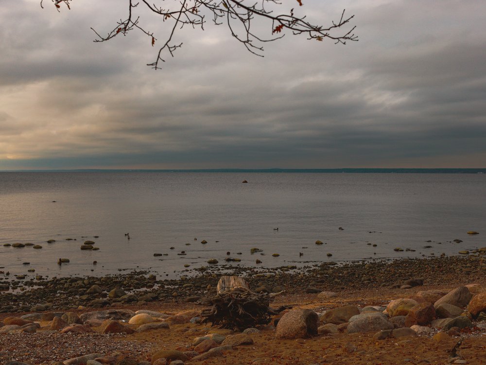 Photograph by Nadezhda Stoliarova