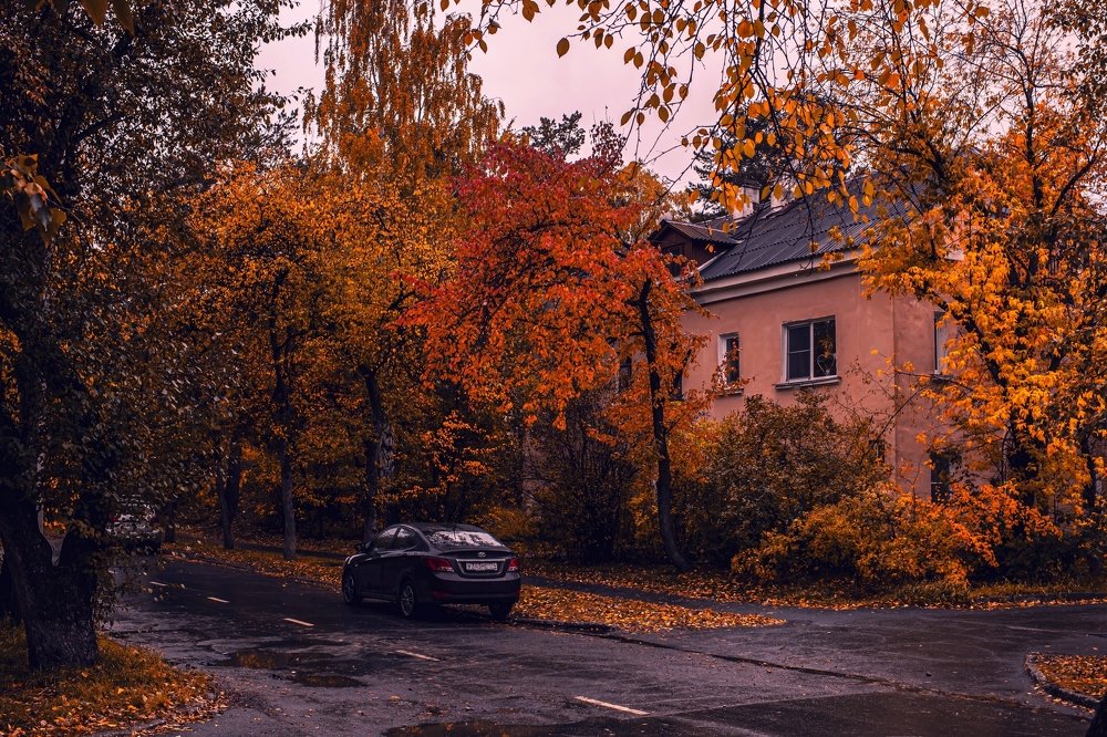 Photograph by Dmitry Ozersky