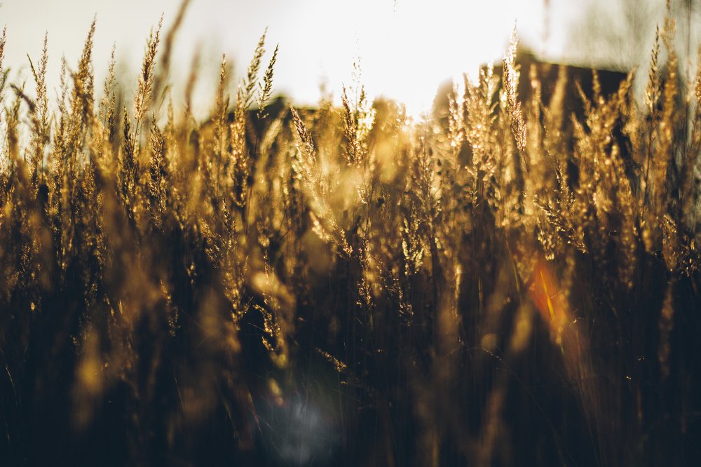 Photograph by Илья Найко