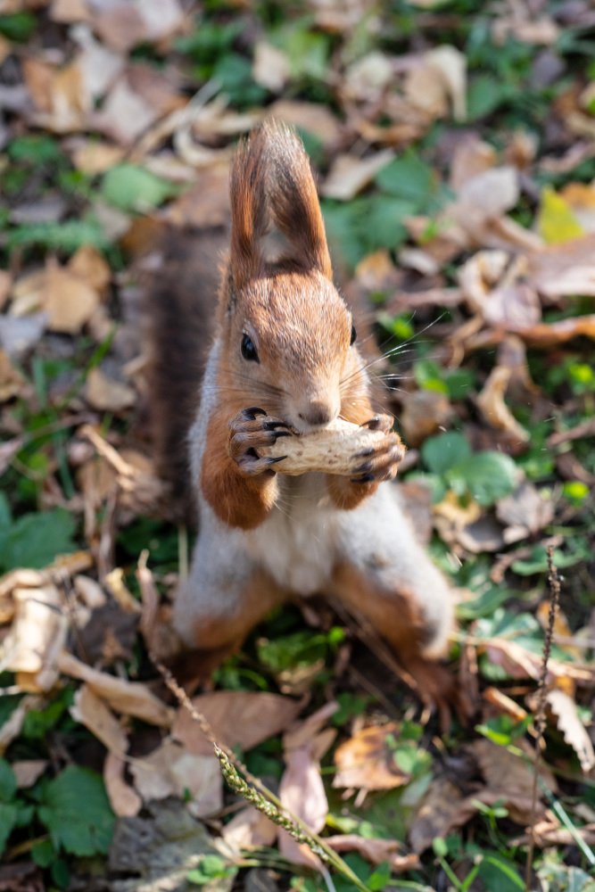 Photograph by Кадырова Анастасия