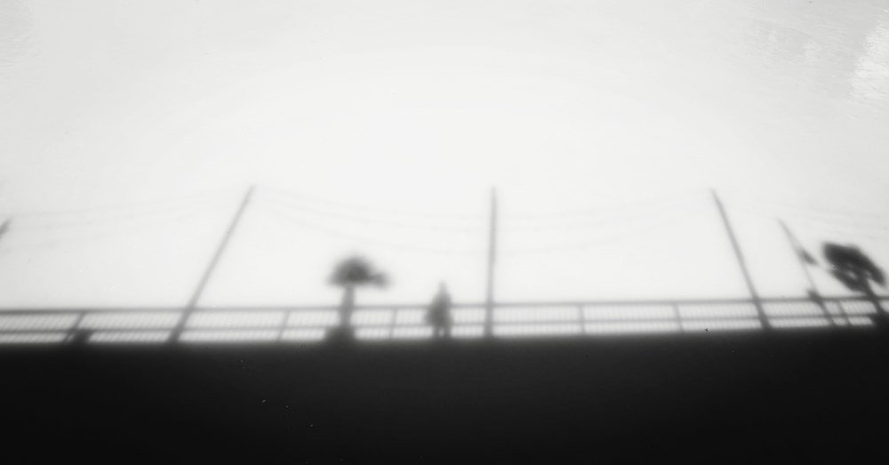 Photograph by Amanda Waldeck