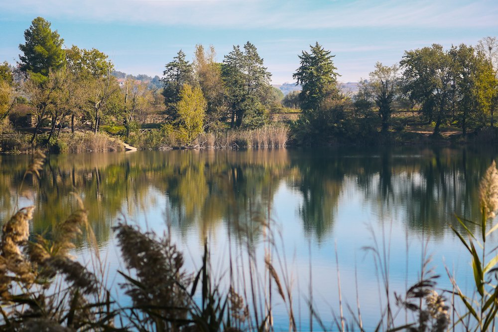 Photograph by Елизавета Калинина