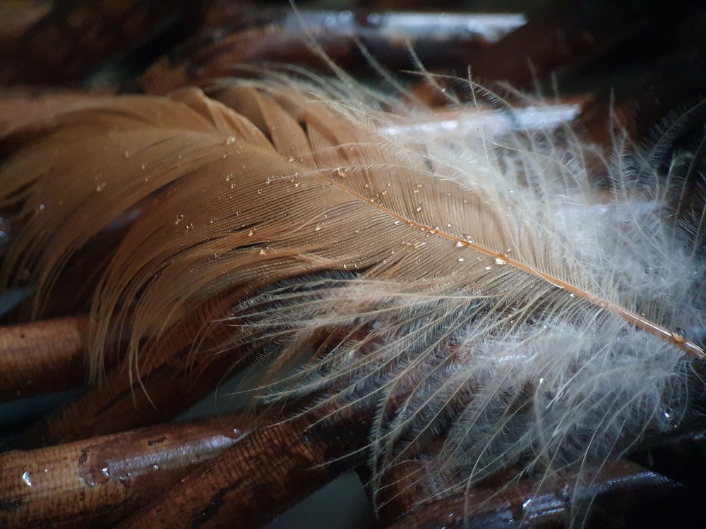 Фотография автора Юлия Таран