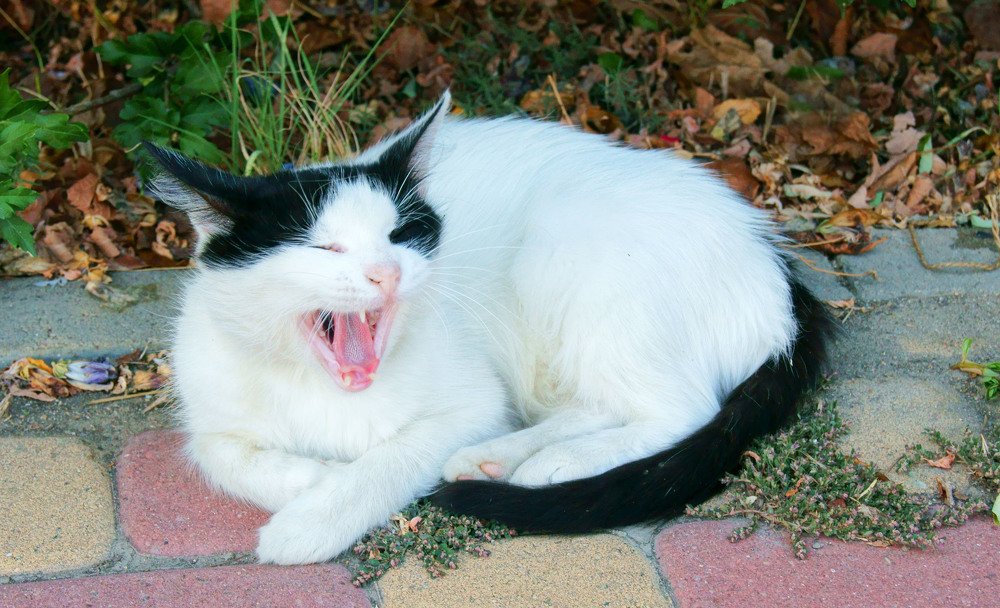 Photograph by Анастасия