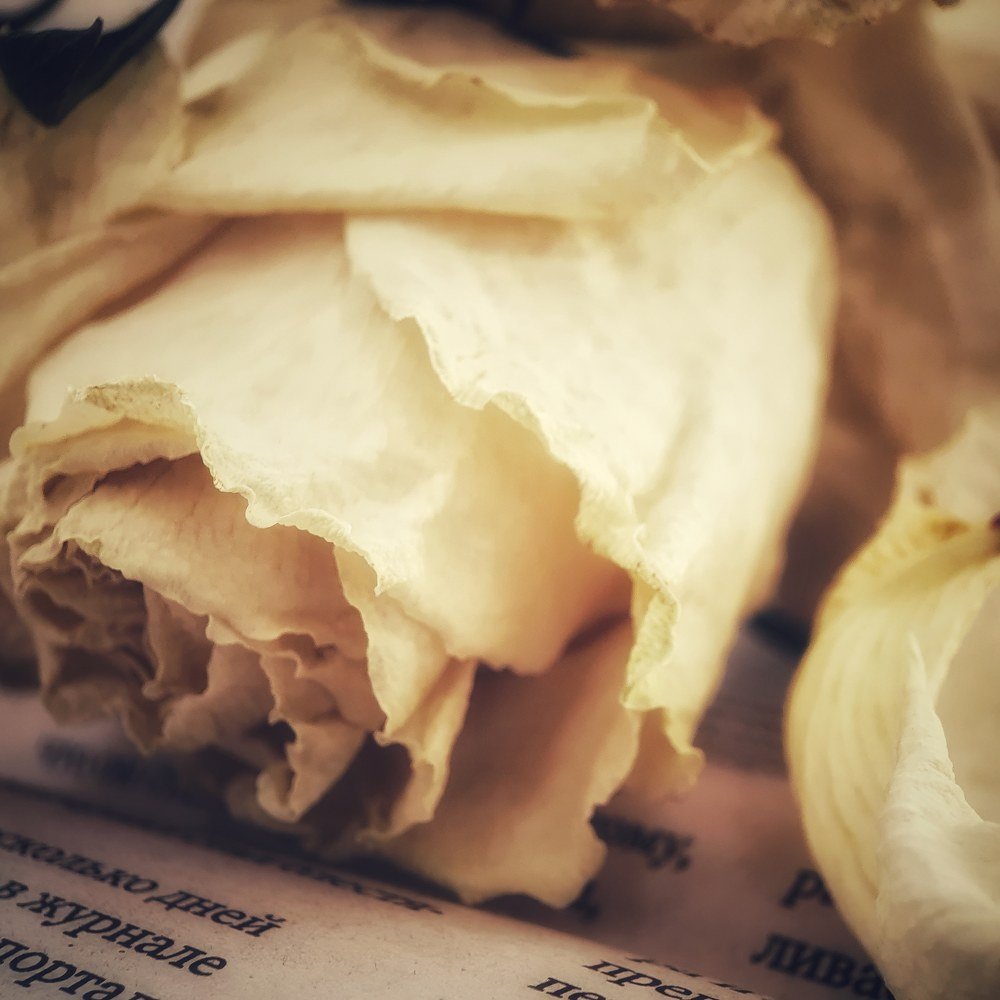 Фотография автора Юлия Таран