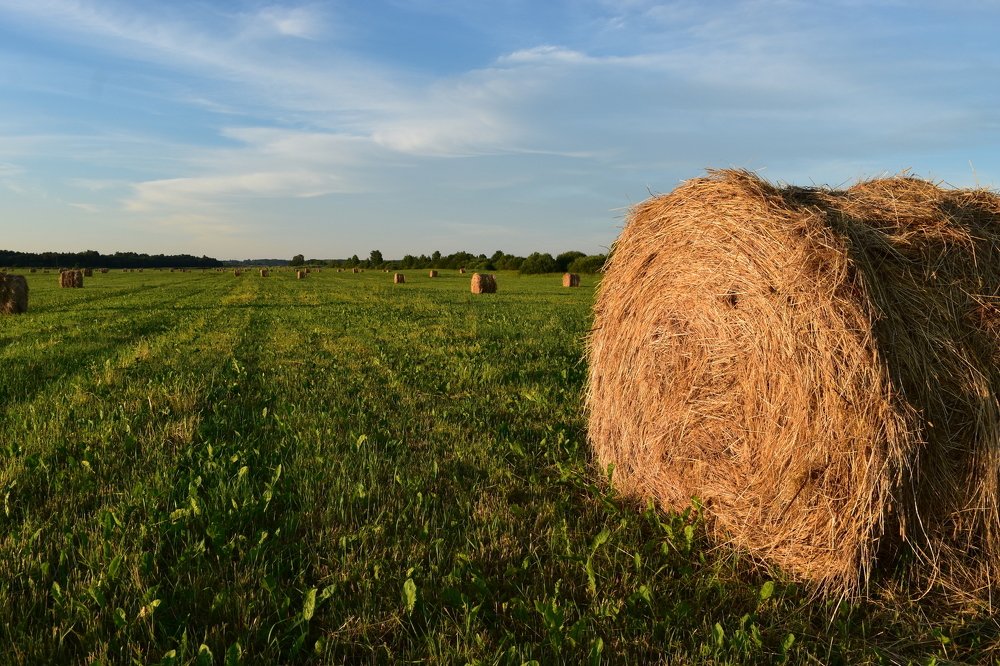 Photograph by Анна Стрельченко