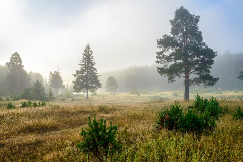 Photograph by Воинков Виктор