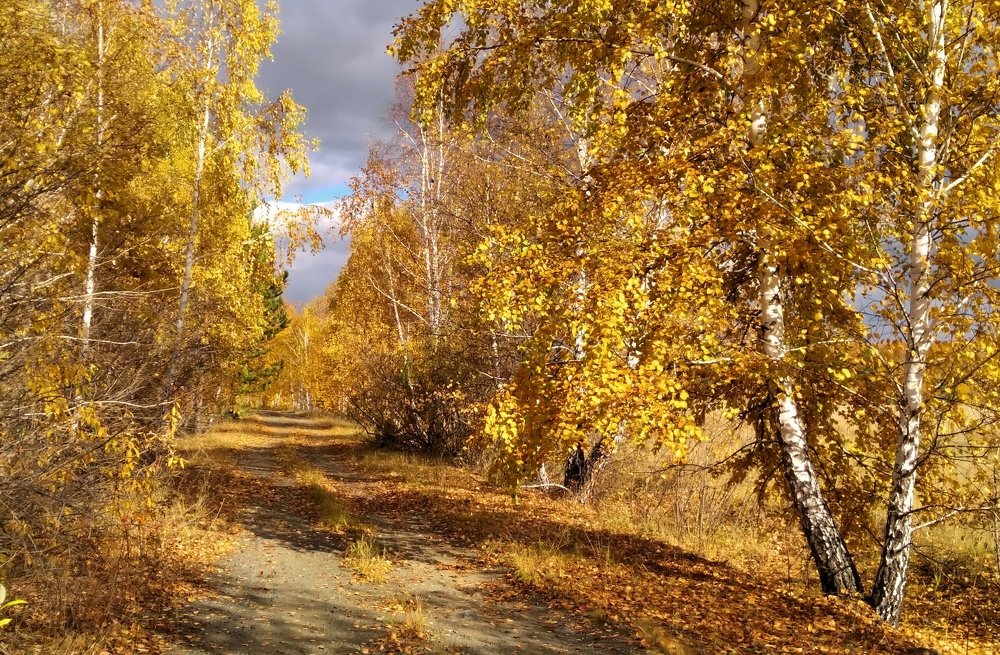 Дорога в осень