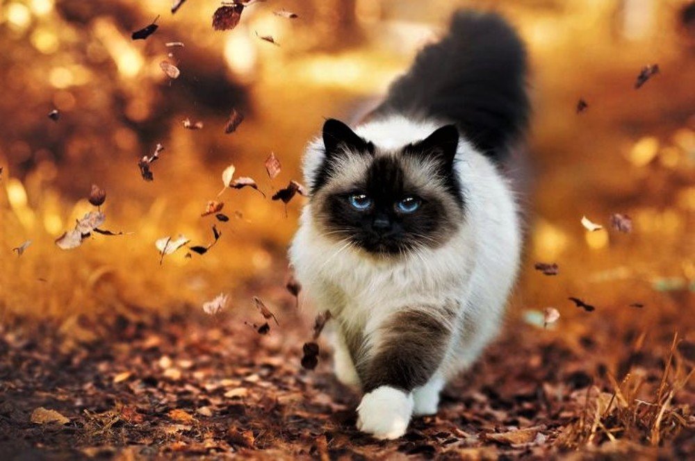 Photograph by Галина