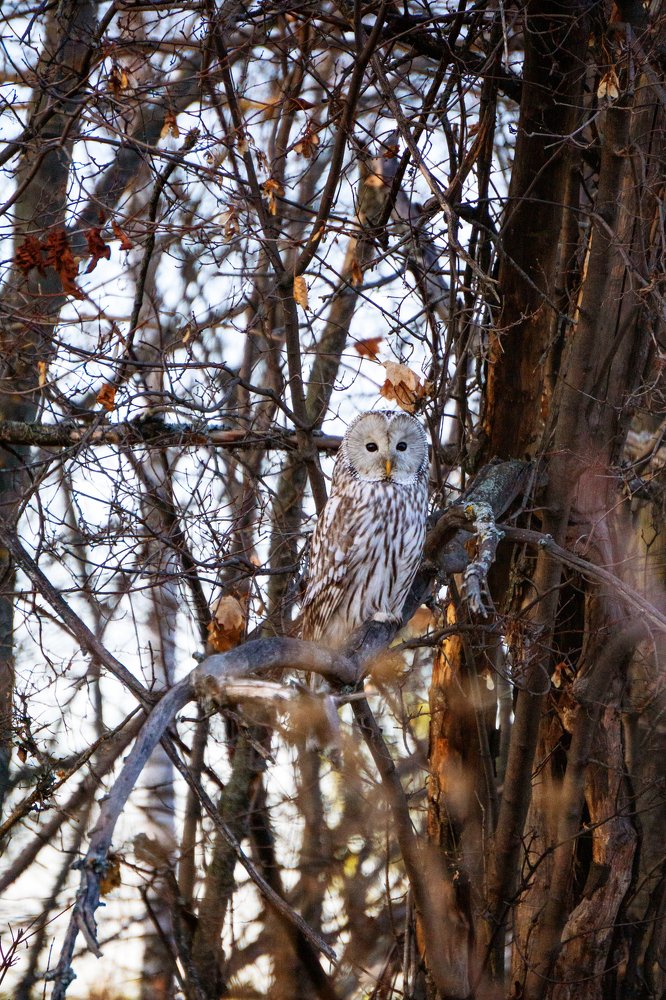 Photograph by Натали Габеева