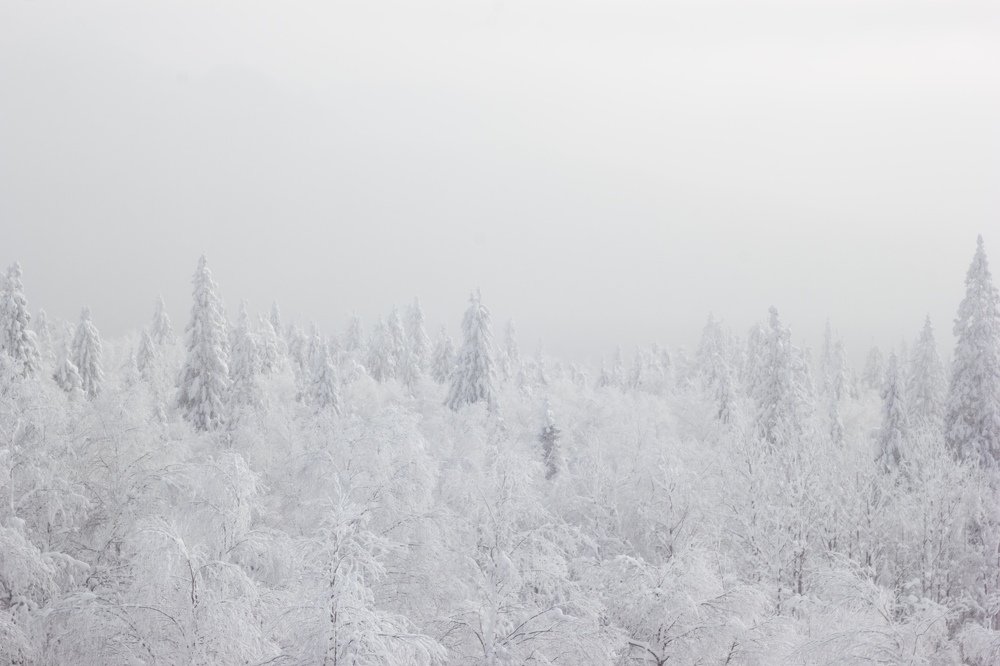 Photograph by Анна Ополихина