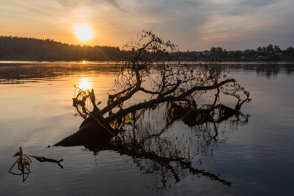 Photograph by Виктор Евстратов