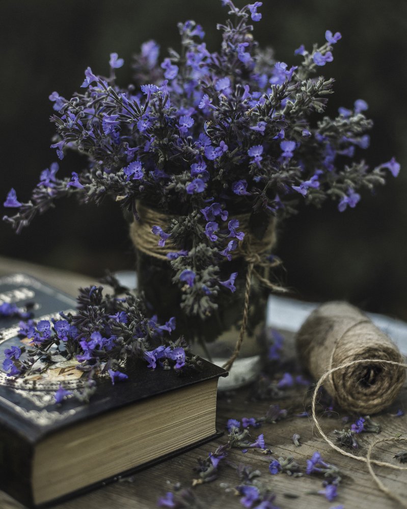 Photograph by Ольга Андреева