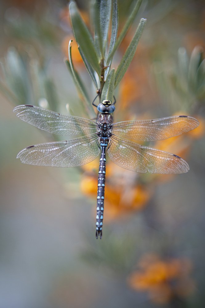 Photograph by Сергей Шерстнев