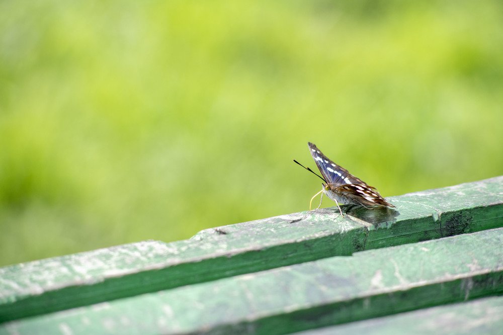 Photograph by Сергей Шерстнев