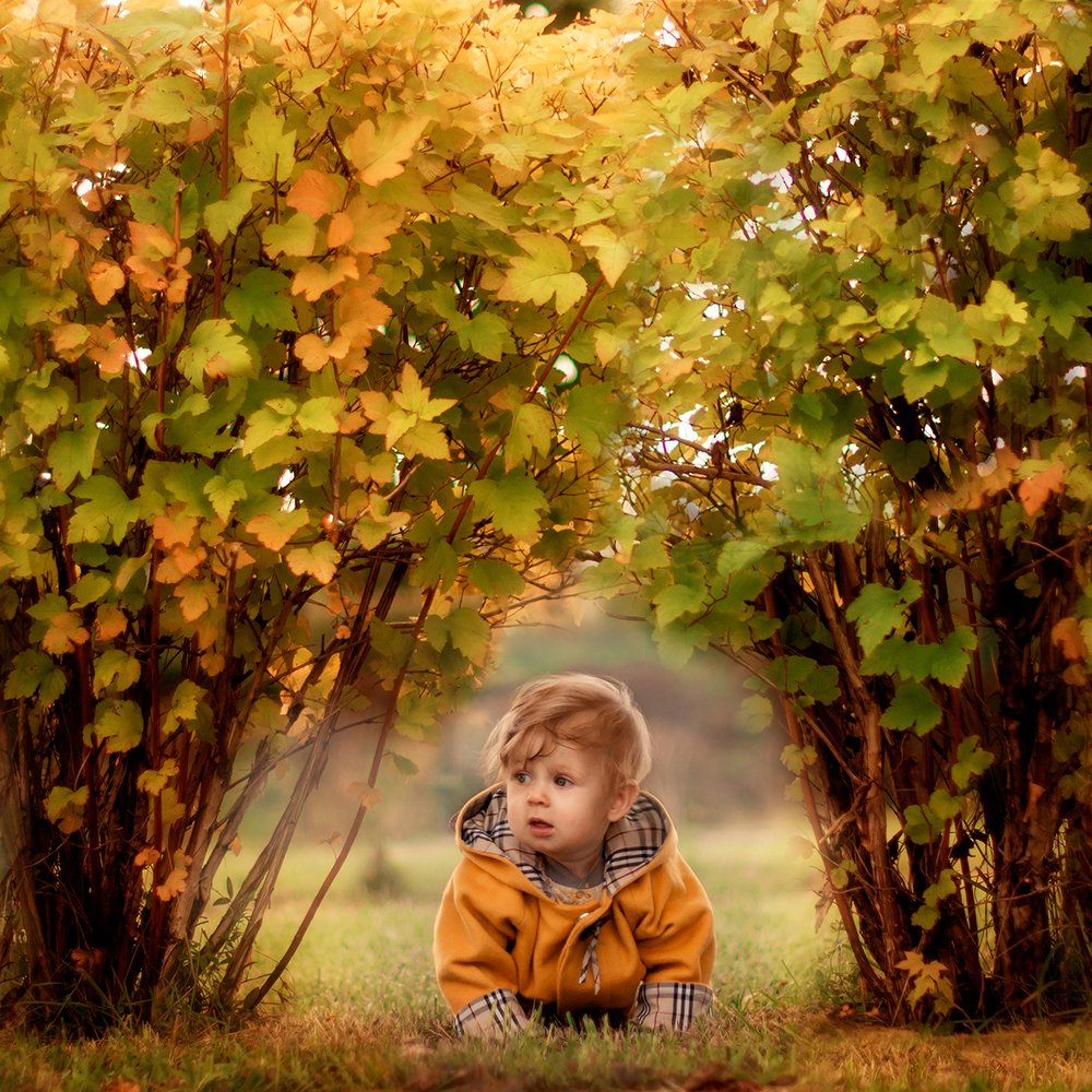 Photograph by Наталия Розанова