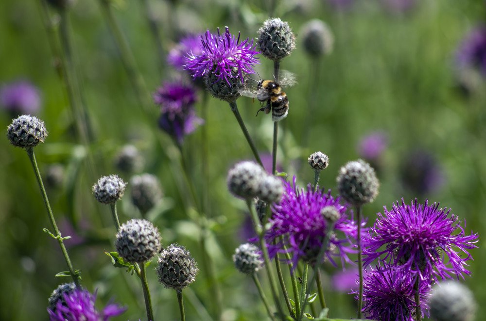 Photograph by Сергей Шерстнев