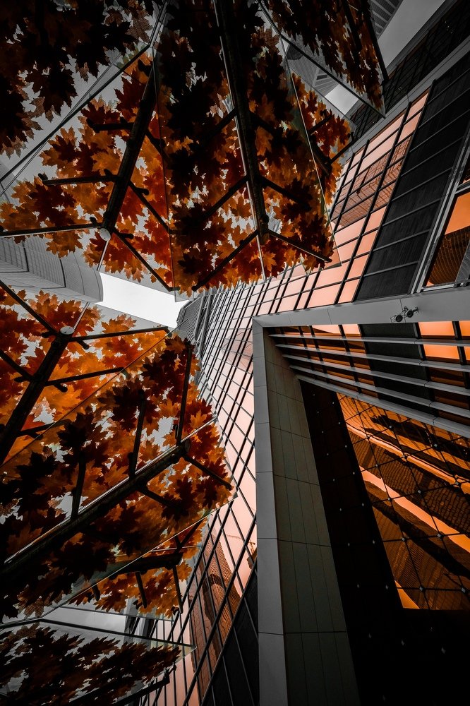 Photograph by Даниил Рождественский