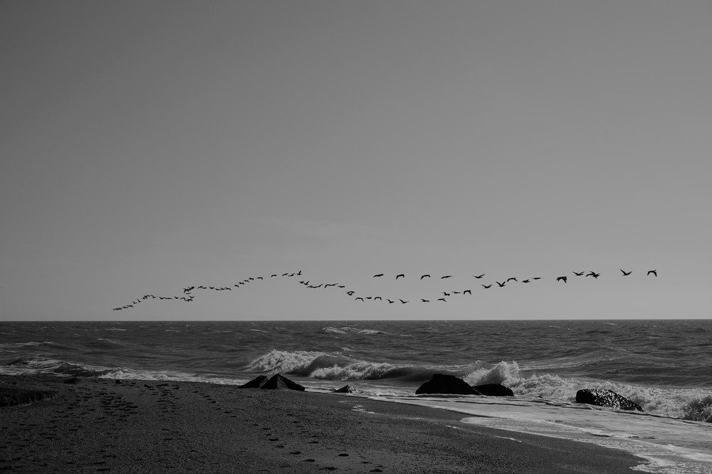 Photograph by Svitlana Hrushko