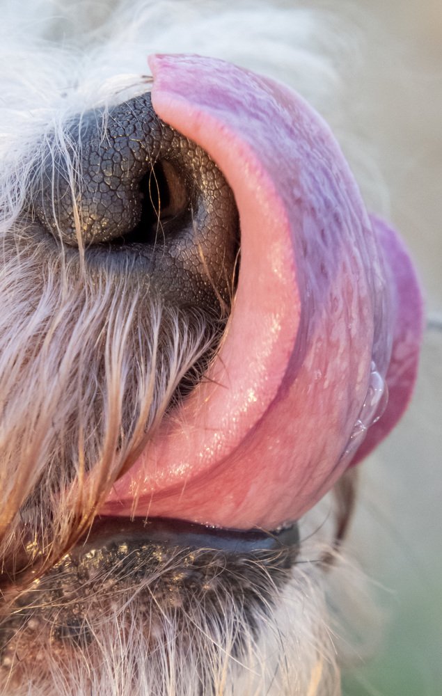 Photograph by Сергей Шерстнев