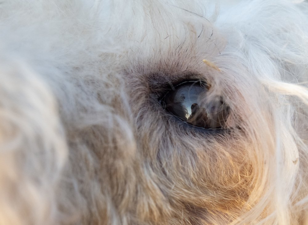 Photograph by Сергей Шерстнев