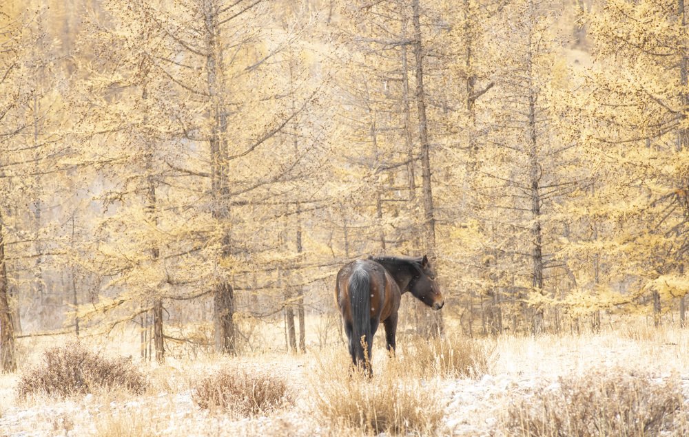 Photograph by Сергей Шерстнев