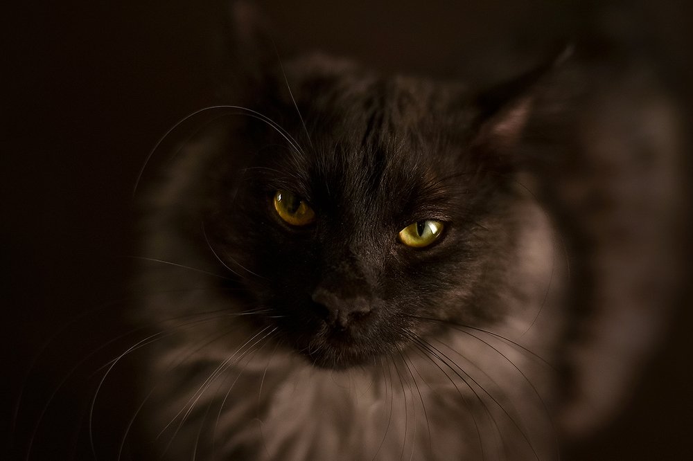 Дыхание ночи