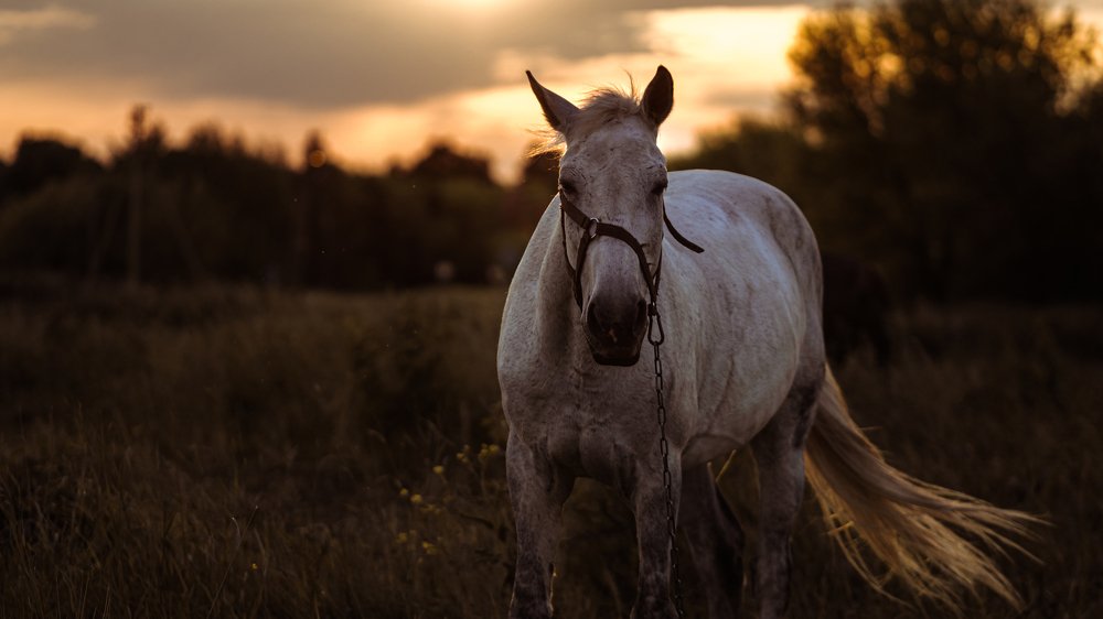 Photograph by Даниил Рождественский