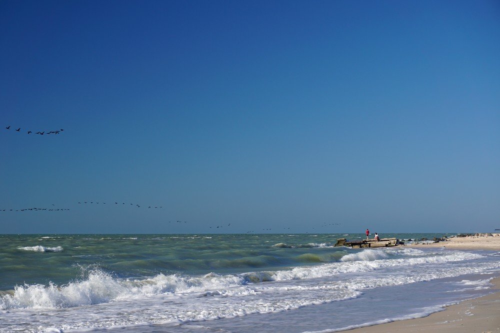 Photograph by Svitlana Hrushko