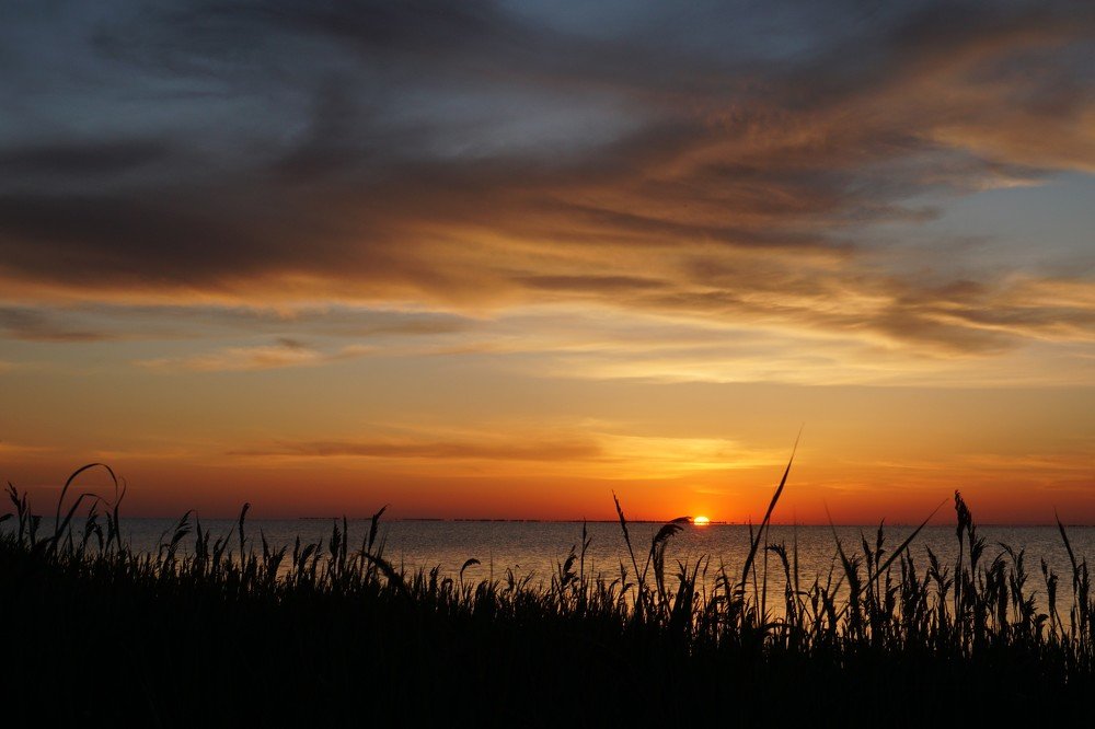 Photograph by Svitlana Hrushko