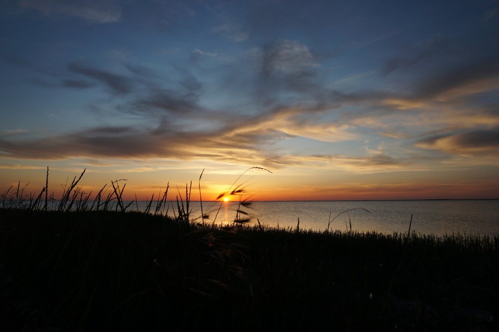 Photograph by Svitlana Hrushko