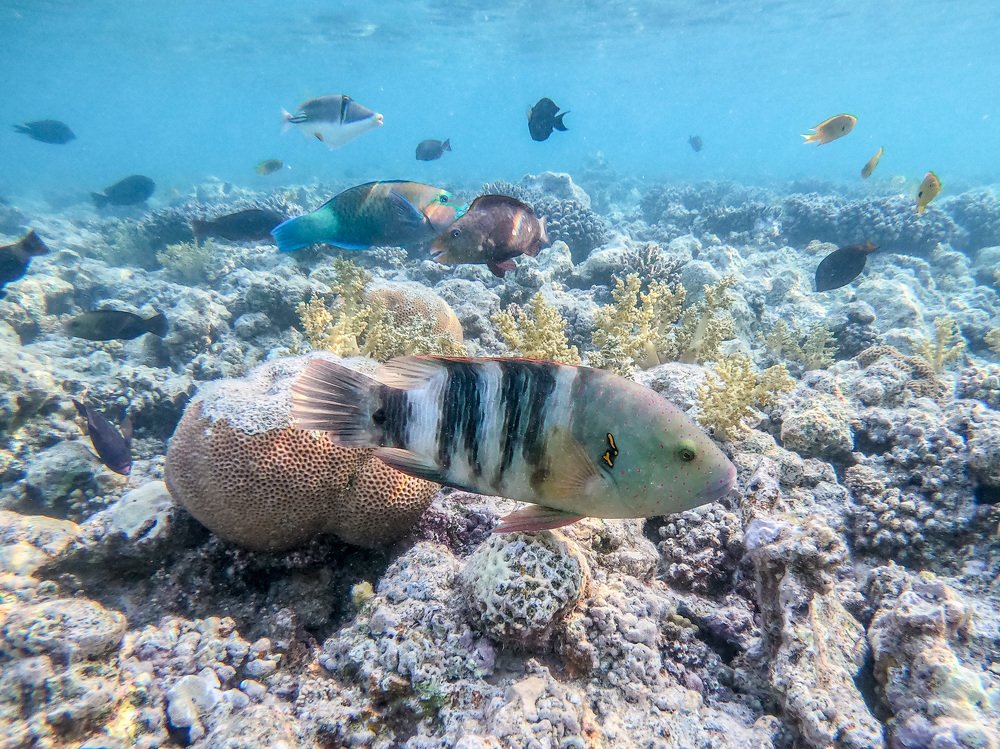 Photograph by Кравченко Константин