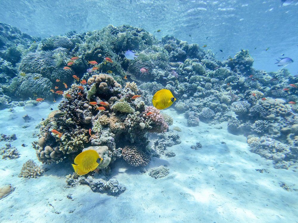 Photograph by Кравченко Константин