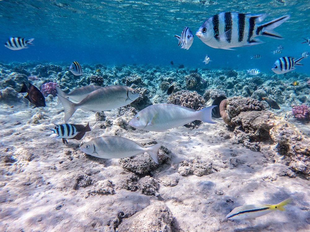 Photograph by Кравченко Константин