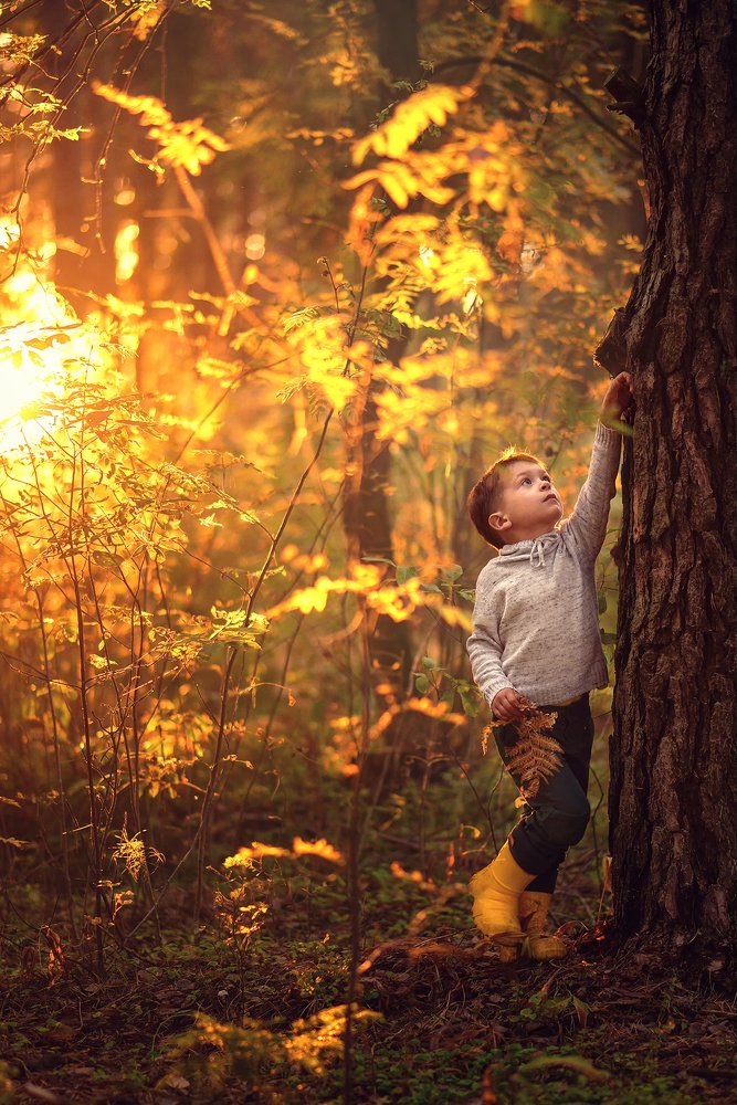 Photograph by Ксения Дудецкая