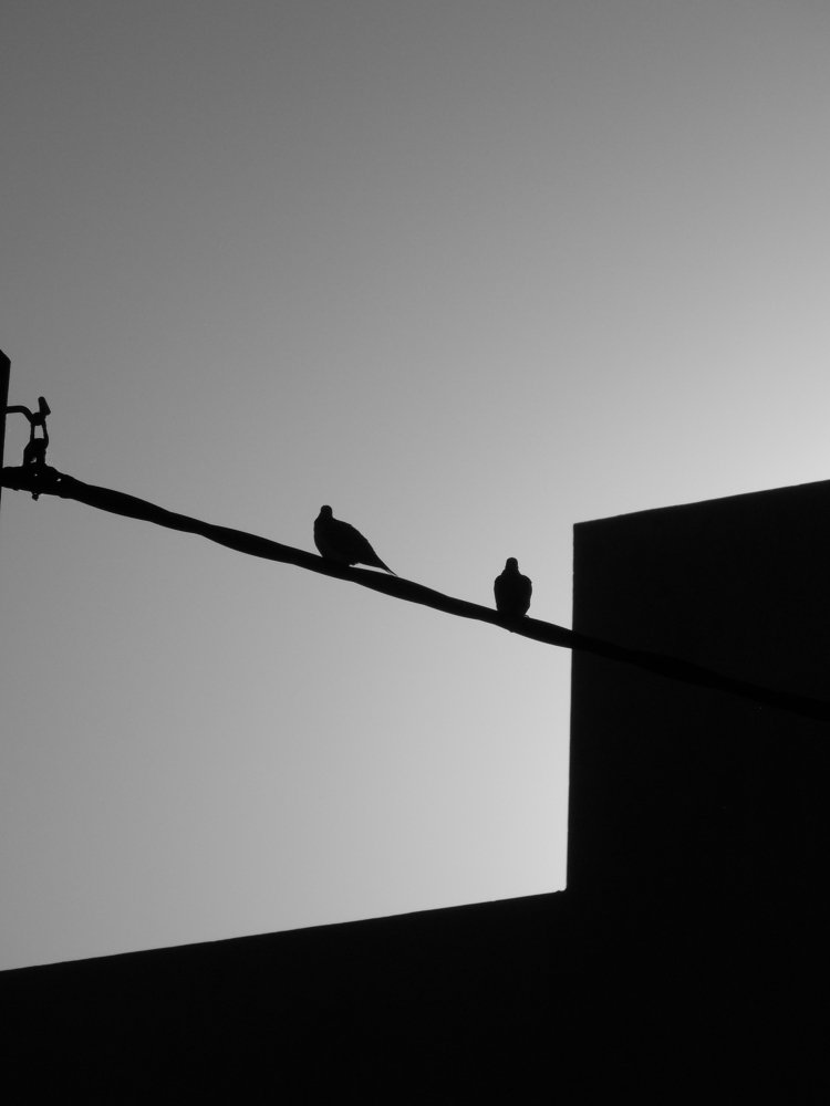 Shadows