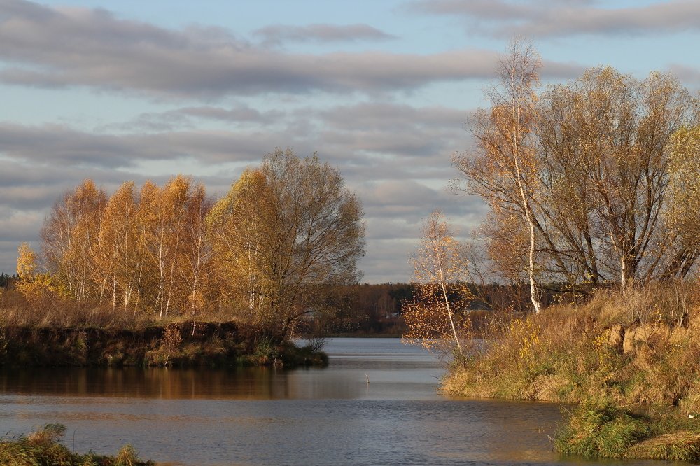 Photograph by Светлана Богомолова