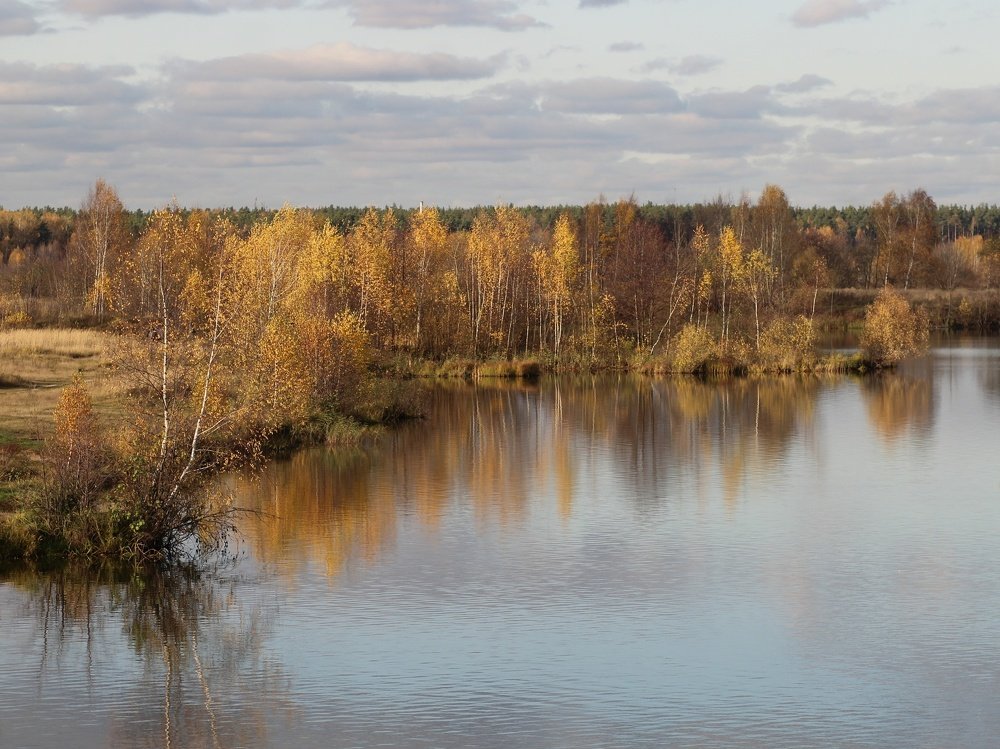 Photograph by Светлана Богомолова