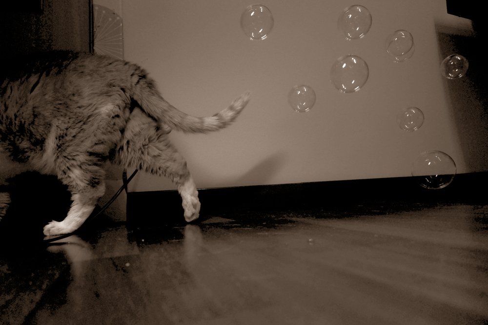 Photograph by Дарья Дрыночкина