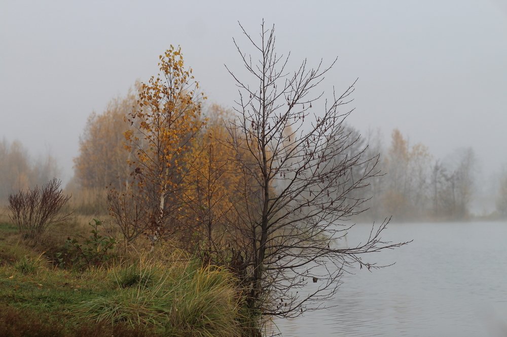 Photograph by Светлана Богомолова