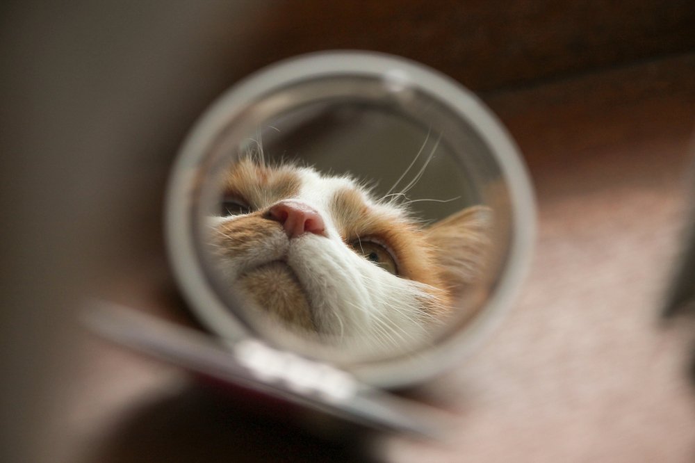 Photograph by Дарья Дрыночкина