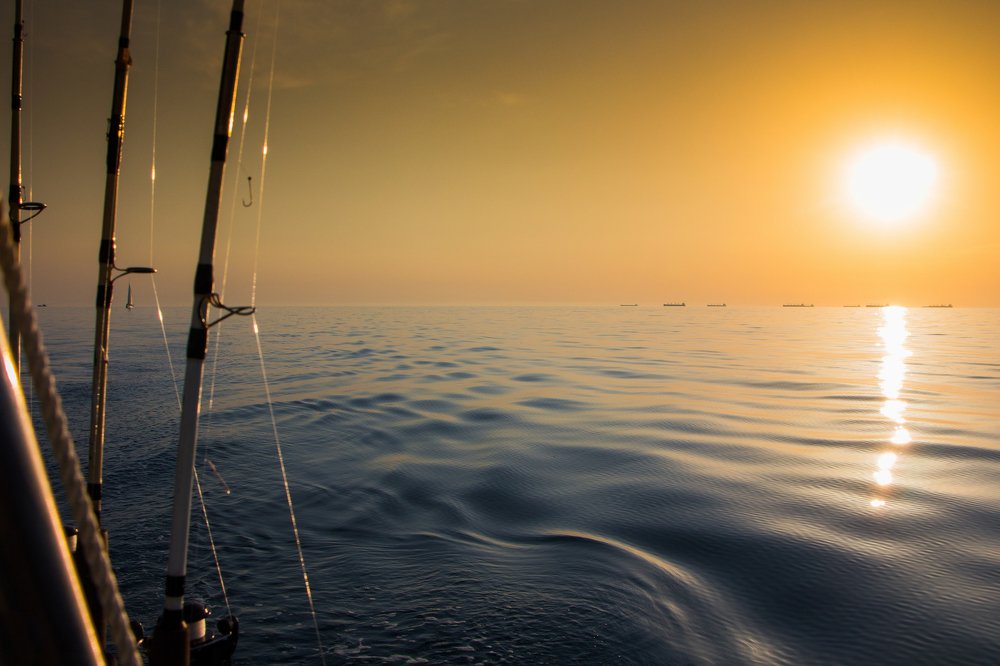 Photograph by Михаил Коган