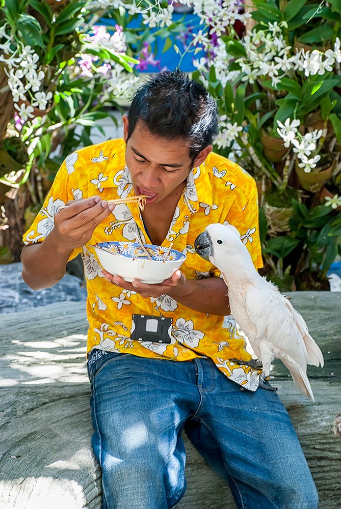 Photograph by Валентин Александров