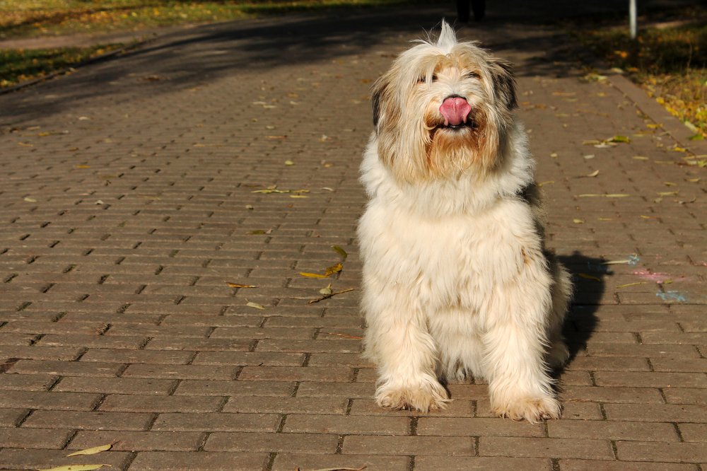 Photograph by Дарья Дрыночкина