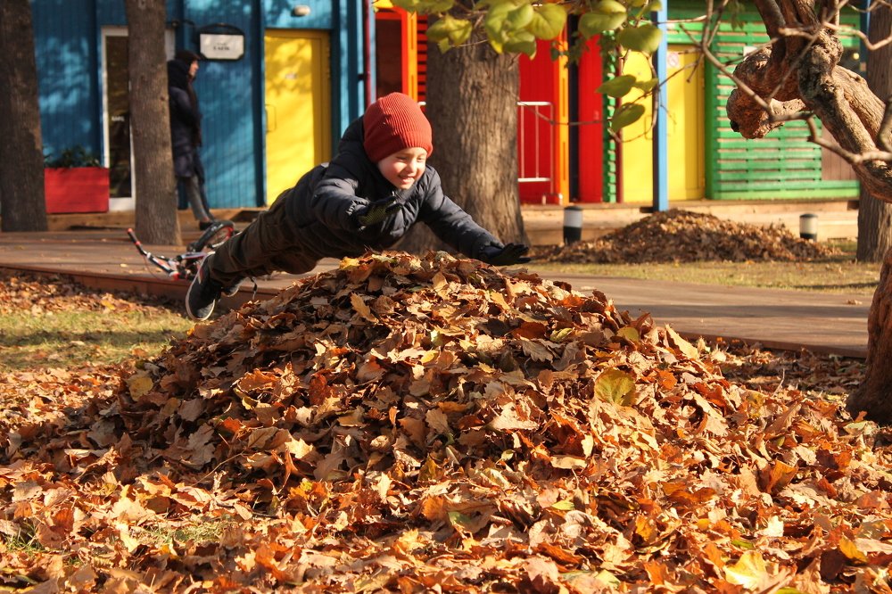 Photograph by Дарья Дрыночкина