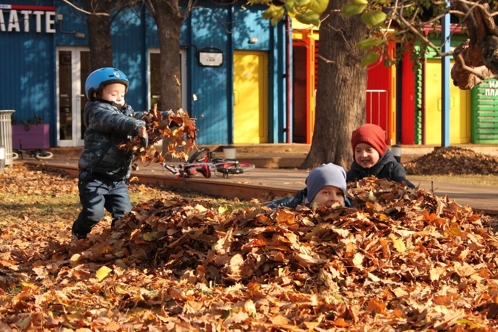 Photograph by Дарья Дрыночкина